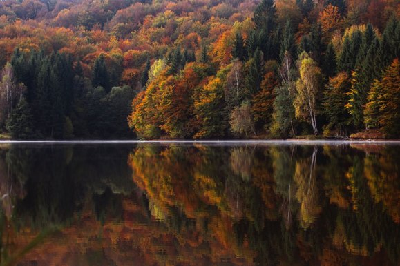 A river/lake surrounded by trees in the autumn.