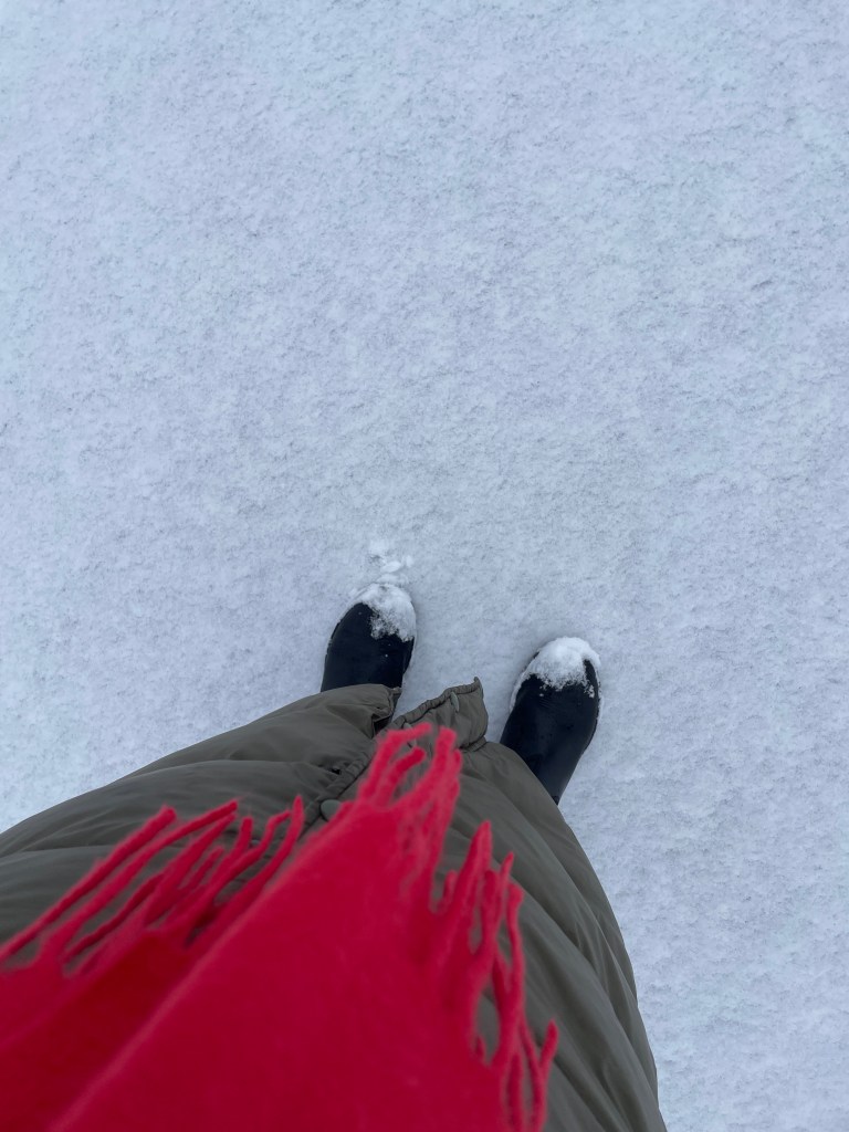 Someone standing in the snow.