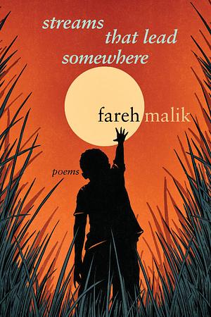 Streams that Lead Somewhere by Fareh Malik book cover.