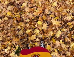 A person standing in a pile of leaves. This photo is from the person's point of view looking down at the leaves.