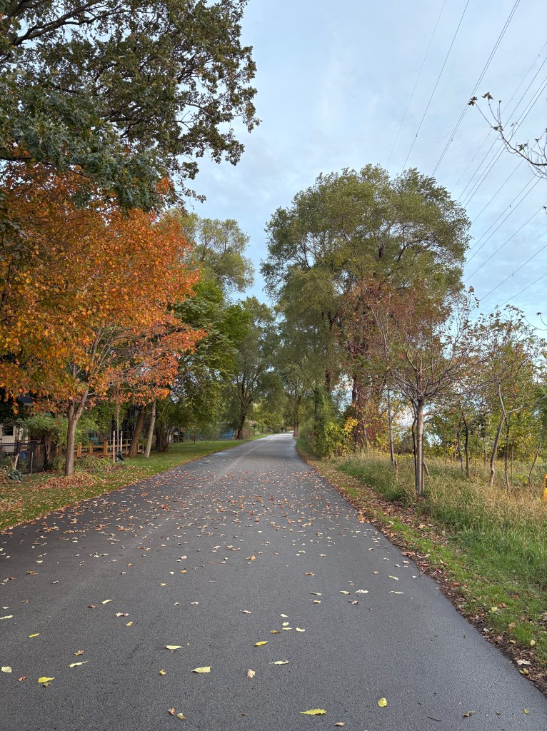 A running path with fall foliage in the background.