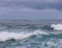Ocean waves.