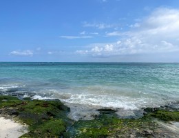Ocean view.